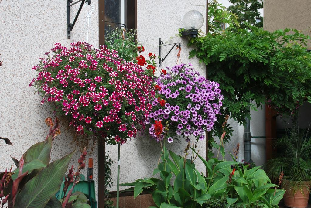 Pension Борна Экстерьер фото